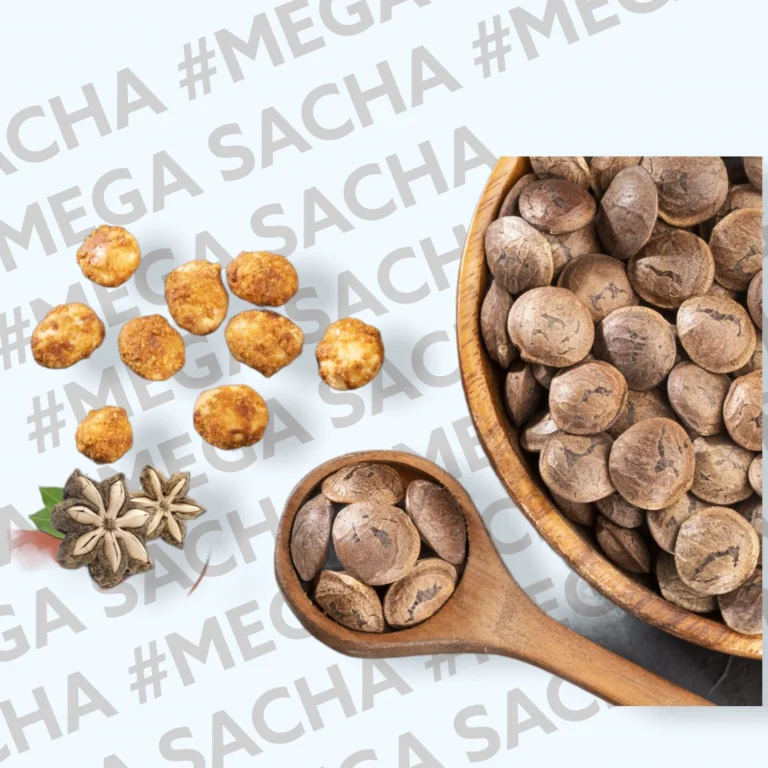 Productos derivados del Sacha Inchi