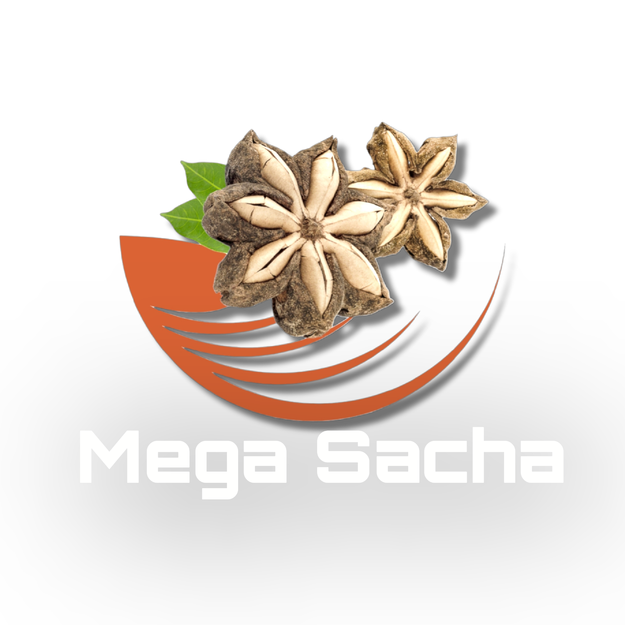 MEGA SACHA